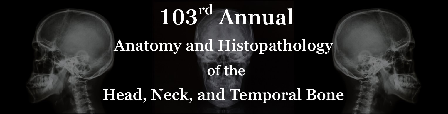 103rd Annual Anatomy and Histopathology of the Head Neck and Temporal Bone Banner